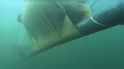 La nuova minaccia russa che arriva dalle profondità degli oceani