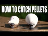 How to catch pellets