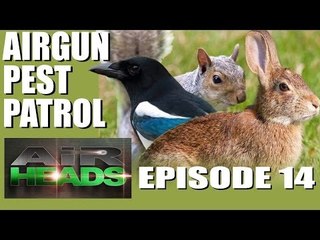 AirHeads - Airgun Pest Patrol