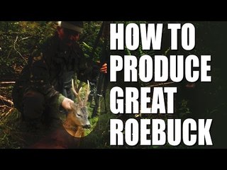 How to produce great roebuck