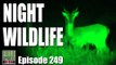 Fieldsports Britain - Hunting Night Wildlife