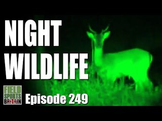 Fieldsports Britain - Hunting Night Wildlife