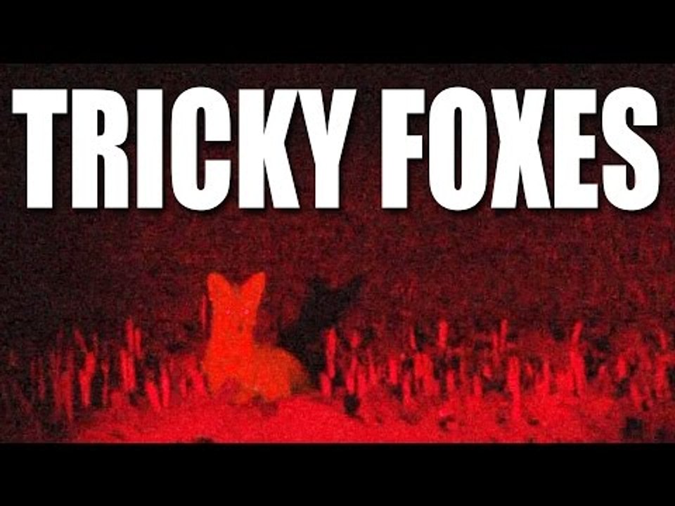 Tricky Foxes