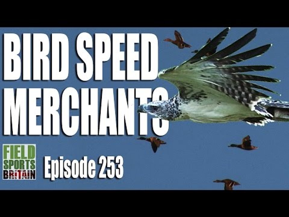 Fieldsports Britain - Bird Speed Merchants