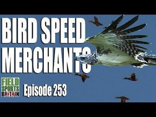Fieldsports Britain - Bird Speed Merchants