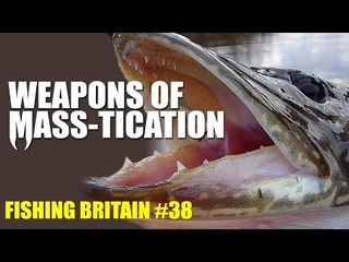 Weapons of Mass-tication - Fishing Britain episode 38