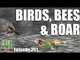 Fieldsports Britain - Birds, Bees & Boar