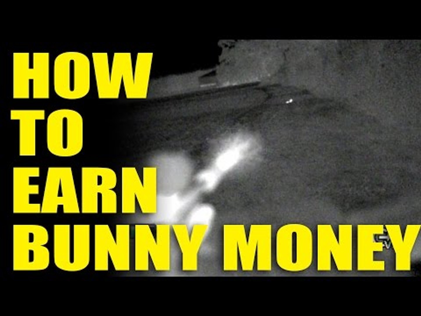 ⁣How to Earn 'Bunny Money'