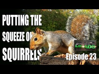 AirHeads - Putting the Squeeze on Squirrels
