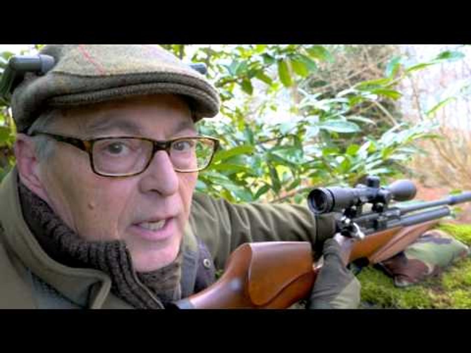 How to get grey squirrels in range