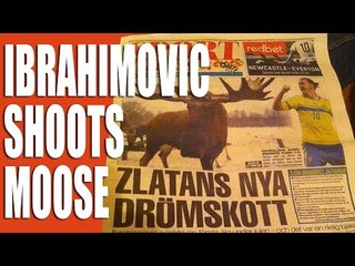 Fieldsports Channel News - Ibrahimovic Shoots Moose