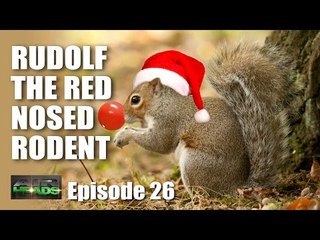 Rudolf the Red-Nosed Rodent