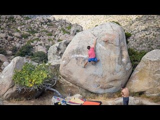 Vlog 012 || Greek Buttermilks?