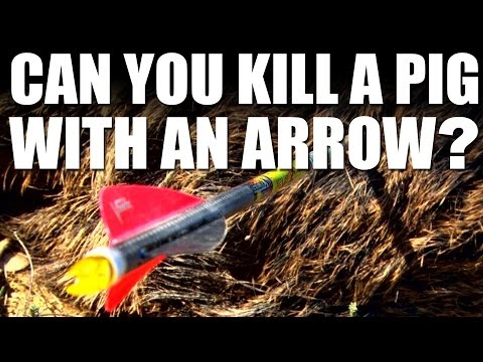 Can you kill a pig with an arrow?