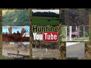 Hunting YouTube - big bucks and bulls