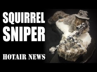 Squirrel Sniper - HotAir Airgun News