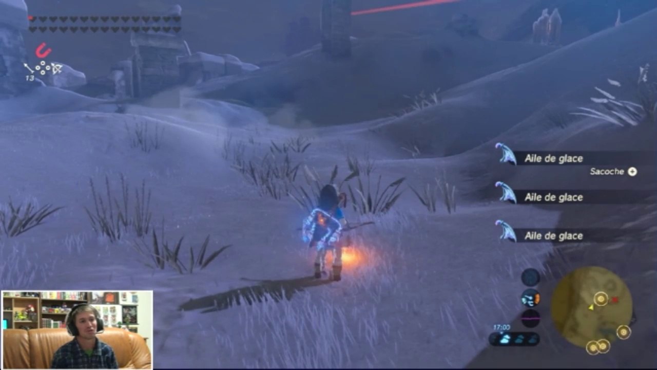 Vidéo découverte Pack Dlc N°2 Zelda breath of the wild