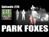 Fieldsports Britain - Park Foxes