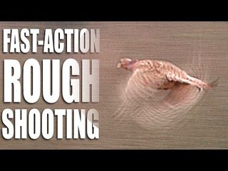 Fast-action rough shooting