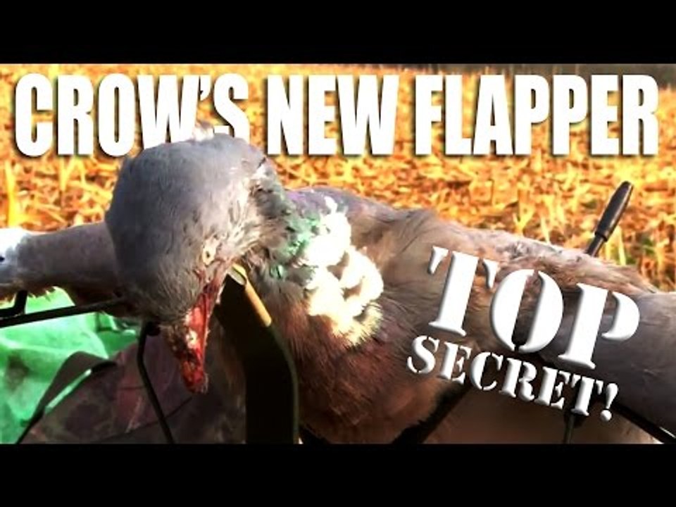 Pigeon shooting: Andy's new flapper