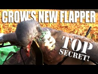 Pigeon shooting: Andy's new flapper