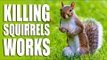 Killing Squirrels Works - HotAir airgun news