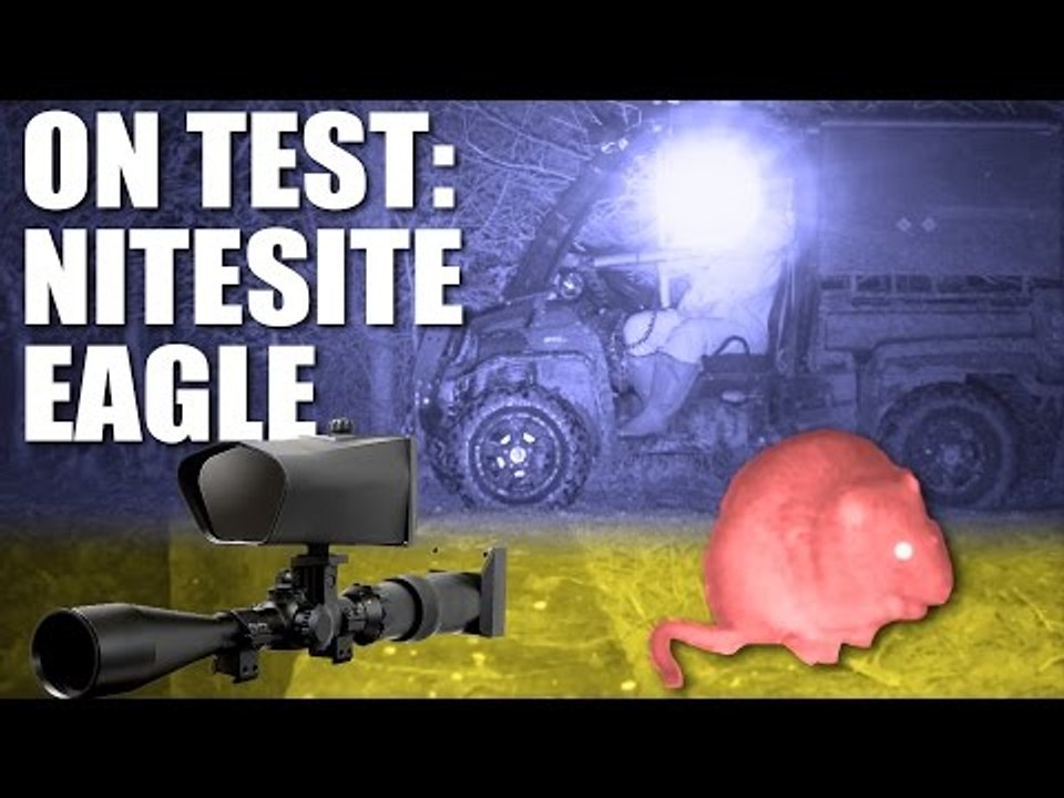 On Test: NiteSite Eagle