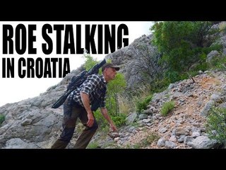 Roebuck hunting in Croatia