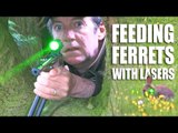 Feeding Ferrets with Lasers