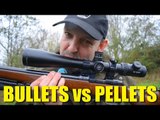 Which is better? Bullets or Pellets?