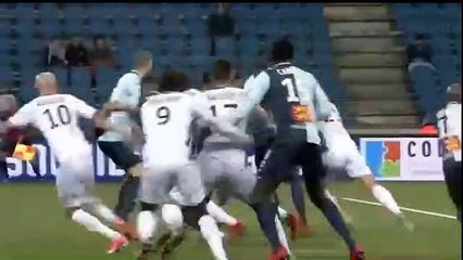 Goal Ndoh A. D Goal HD Le Havre 1-1 Niort