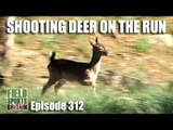 Fieldsports Britain - Shooting Deer on the Run