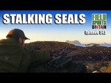 Fieldsports Britain - Stalking Seals