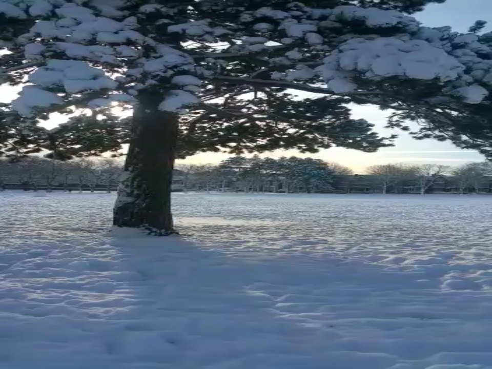 Snow Heavy snow in the UK 2017 look outside like so beautifull