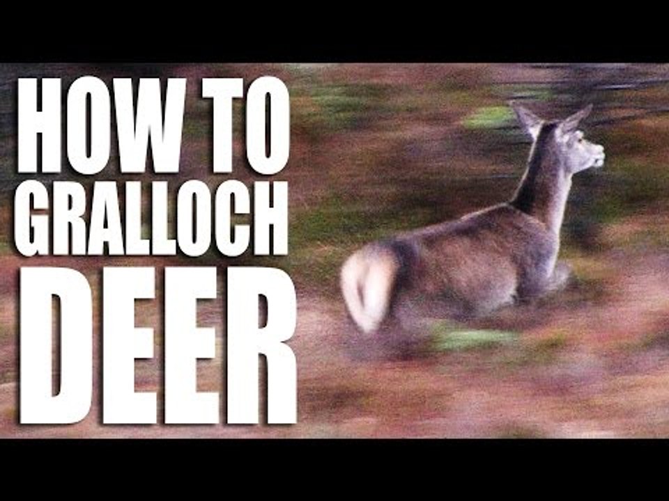 How to gralloch a deer