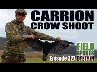 Fieldsports Britain - Carrion Crow Shoot