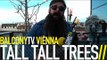 TALL TALL TREES - BACKROADS (BalconyTV)