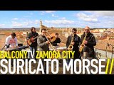 SURICATO MORSE - A LA MADRIGUERA (BalconyTV)