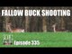 Fieldsports Britain - Fallow Buck Shooting
