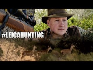 Hunting deer - at the factory and in the field