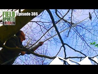 Fieldsports Britain - Crow Goes Ape