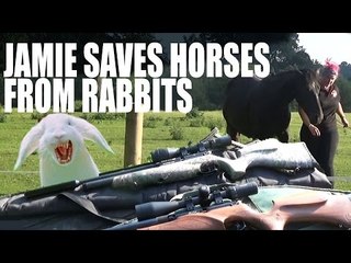 Jamie Saves Horses From Rabbits