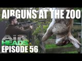 Airguns at the Zoo - AirHeads, episode 56