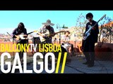 GALGO - MONTE REAL (BalconyTV)