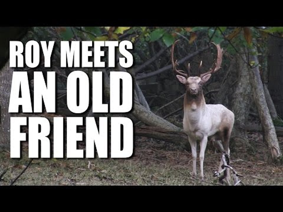 When deer management gets personal
