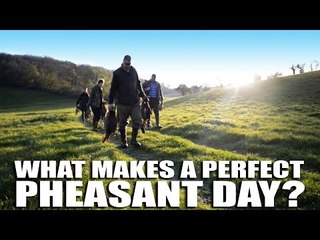 What makes a perfect pheasant shoot day?