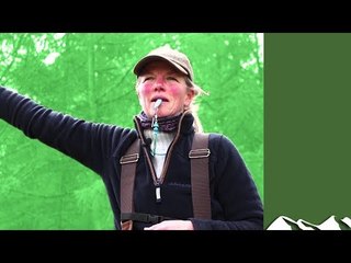 Look at me! - Gundog Summer Boot Camp