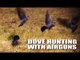 Dove hunting with airguns