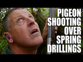 Pigeon shooting over spring drillings