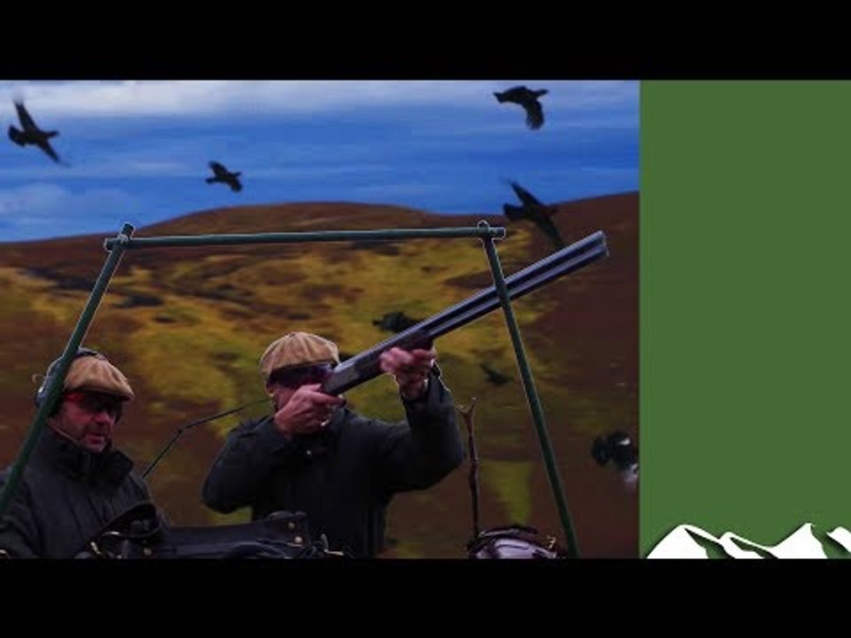 Driven grouse in Scotland